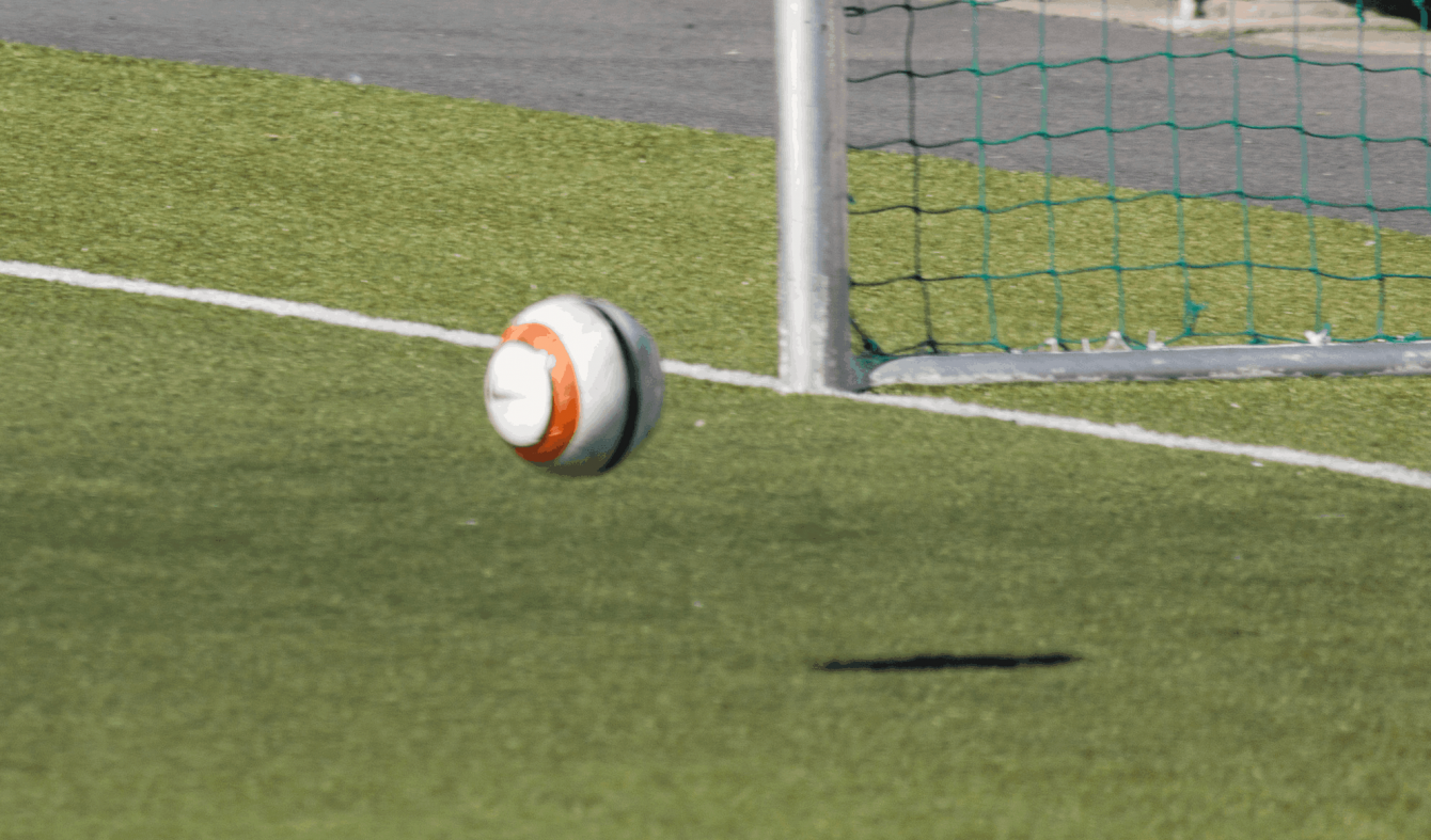 Спортивный газон