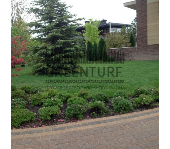 Устройство рулонного газона в коттеджном поселке - фото - 3