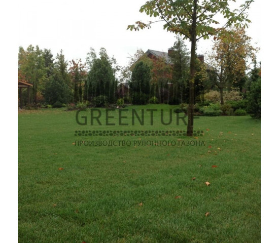 Устройство рулонного газона в коттеджном поселке - фото - 16