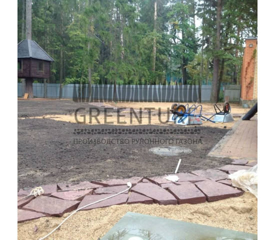 Озеленение частного домовладения - фото - 1