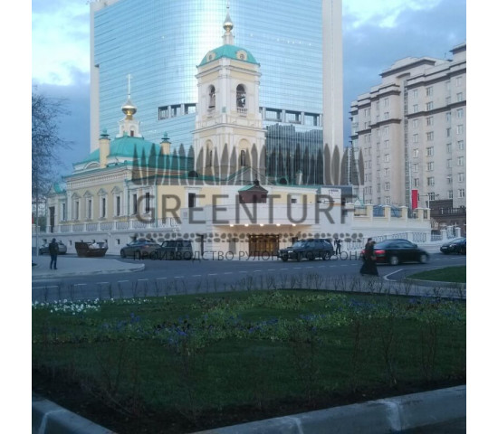 Озеленение части территории около Префектуры ВАО - фото - 4