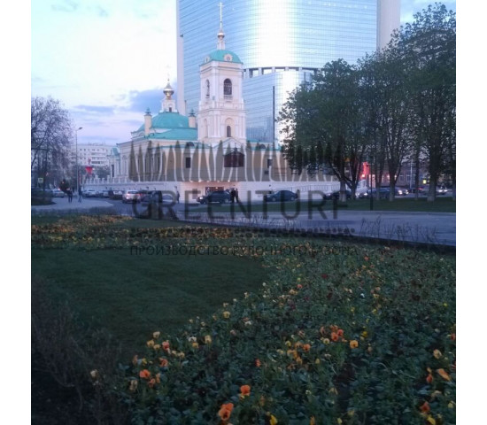 Озеленение части территории около Префектуры ВАО - фото - 7